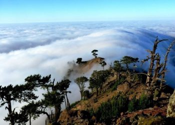 Conanp evaluará la efectividad de manejo en Áreas Naturales Protegidas
