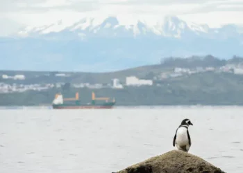 Ministerio de Hacienda actualiza el Marco de Bonos Vinculados a la Sostenibilidad, incorpora KPI ligado a la protección de Biodiversidad
