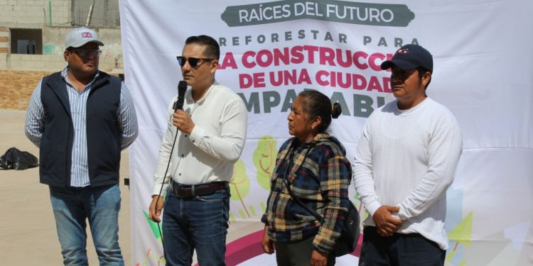 Reforestación con más de 1,200 árboles en la capital a través de Raíces del Futuro