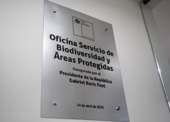 Ministerio del Medio Ambiente publica manual y videos dirigidos a regulados para promover el cumplimiento de la Ley REP