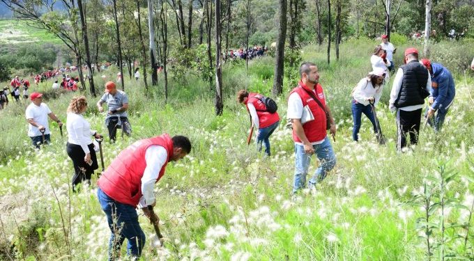 Restaura GEM parque estatal Sierra de Guadalupe, pulmón verde del Valle de México