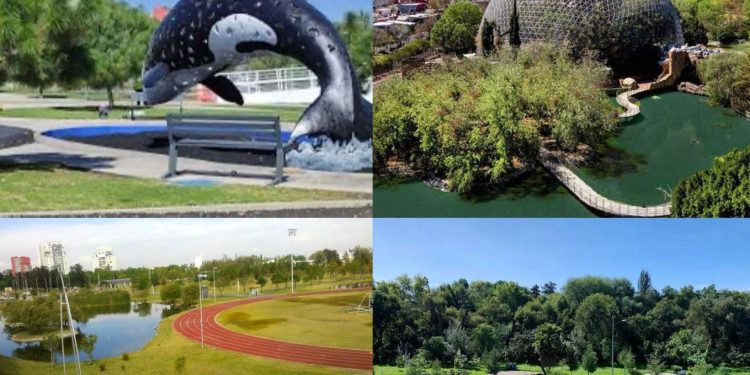 Reciclar en Puebla: ¿Dónde y cómo?