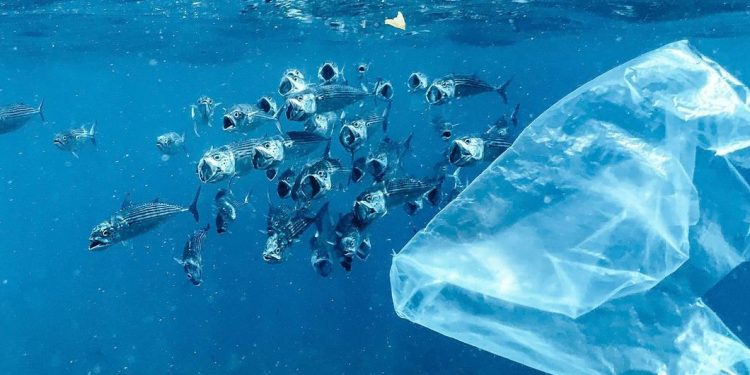 Los residuos plásticos se triplicarán para 2060, un tratado que se negocia en Ginebra busca impedirlo