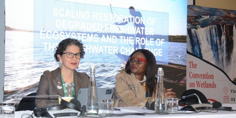 Chile es parte del Comité Permanente de la Convención Ramsar sobre humedales