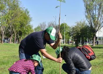 Agua de Puebla plantó más de 15 mil árboles, concluye Programa de Reforestación “Siembra Vida”