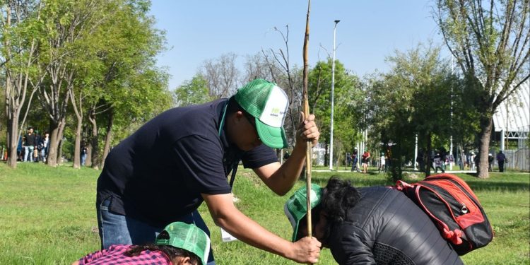Agua de Puebla plantó más de 15 mil árboles, concluye Programa de Reforestación “Siembra Vida”
