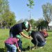 Agua de Puebla plantó más de 15 mil árboles, concluye Programa de Reforestación “Siembra Vida”