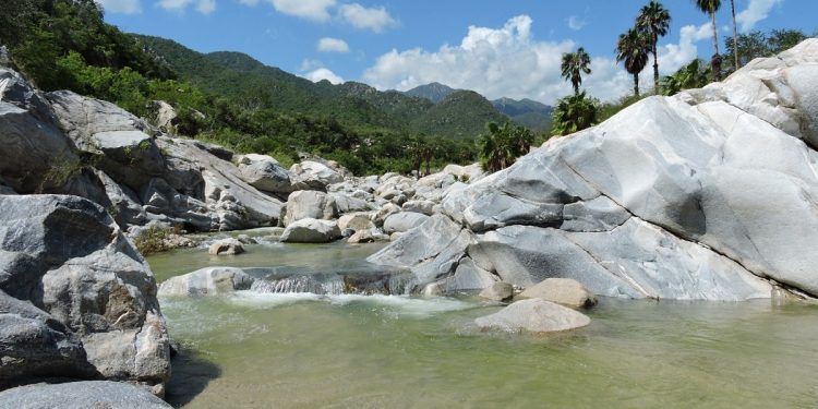 Conanp informa sobre la situación en Sierra La Laguna, Baja California Sur