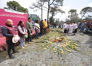 Recuperan bosques de Temoaya; plantan 700 árboles en zona afectada por incendios forestales