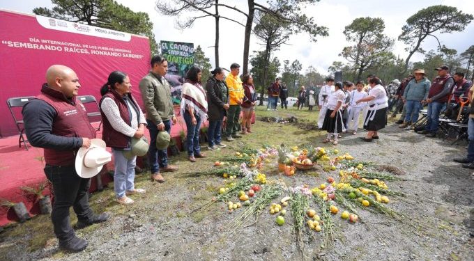 Recuperan bosques de Temoaya; plantan 700 árboles en zona afectada por incendios forestales
