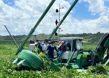Puebla aplicará tecnología y maquinaria probada para retiro de lirio acuático en Valsequillo
