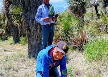 Reforesta Altosano Granjas Carroll en San Luis Atexcac, como parte de agenda con la ONU