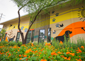Inauguran en Nuevo León el Centro Estatal de Atención Animal