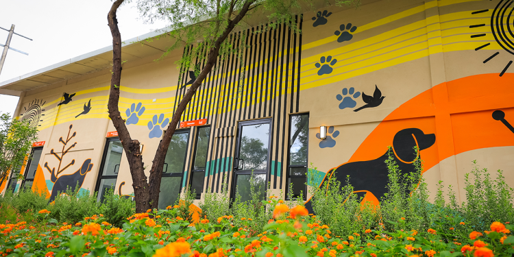 Inauguran en Nuevo León el Centro Estatal de Atención Animal