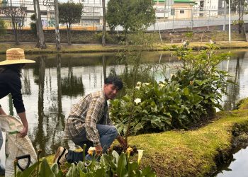 Gobierno de la Ciudad invita a participar en el 2º Simulacro Nacional 2025