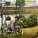 Gobierno de la Ciudad invita a participar en el 2º Simulacro Nacional 2025
