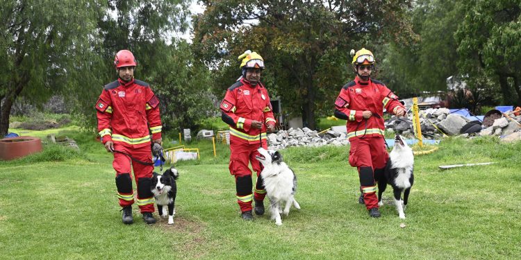 ¿Sucederá de nuevo en septiembre? Mitos y creencias detrás de los sismos