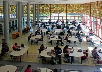 Adecuaciones sustentables favorecen bibliotecas verdes: Elsa Margarita Ramírez