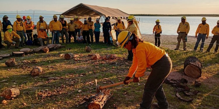 Conanp fortalece las capacidades de 24 ANP