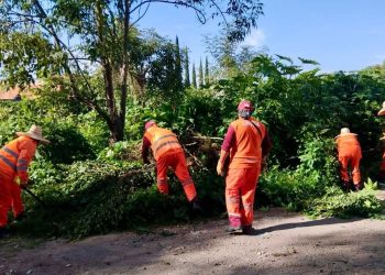 Realiza Gobierno de la Ciudad limpieza de alcantarillas en la Central de Abasto, en temporada de lluvias