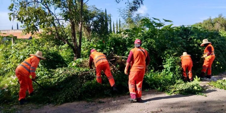 Realiza Gobierno de la Ciudad limpieza de alcantarillas en la Central de Abasto, en temporada de lluvias