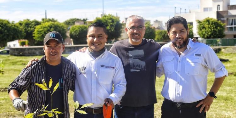 Continúa Gobierno de la Ciudad reforestando colonias de la capital con 590 árboles