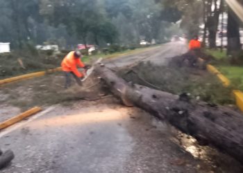 Activa Gobierno de la Ciudad protocolo de seguridad y limpieza urbana por lluvias