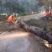Activa Gobierno de la Ciudad protocolo de seguridad y limpieza urbana por lluvias