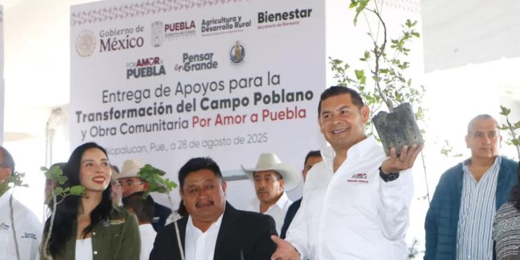 En Nopalucan, Gobierno de Puebla fortalece el campo con apoyos y reforestación