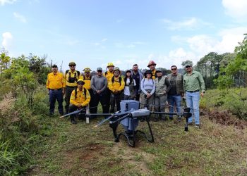 Reforestación con drones supera meta de 250 mil semillas sembradas