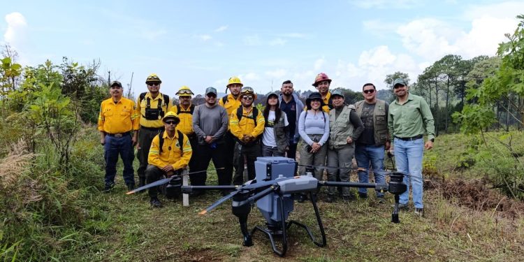 Reforestación con drones supera meta de 250 mil semillas sembradas