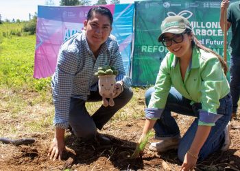 Jóvenes plantan más de 50 mil árboles en reforestación simultánea en Michoacán