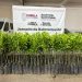 Plan de Reforestación 2025 agrega valor y nutrición para las familias poblanas