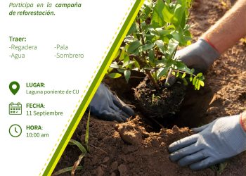 Participa en el campaña de reforestación. BUAP