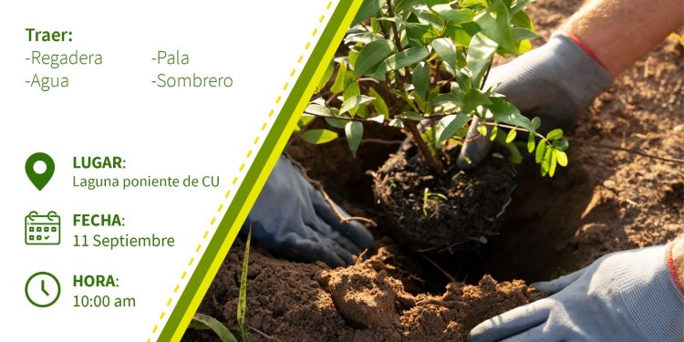 Participa en el campaña de reforestación. BUAP