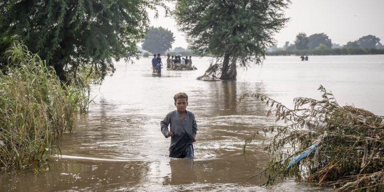Entre inundaciones y sequías: el ciclo del agua es cada vez más irregular y extremo