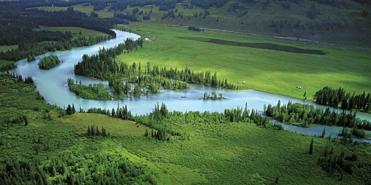 China logra mejorar la calidad del aire, pero los incendios forestales en otros países contrarrestan el logro