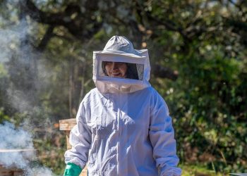 Revirtiendo la deforestación con el empoderamiento de comunidades rurales en América del Sur