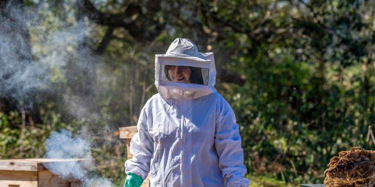 Revirtiendo la deforestación con el empoderamiento de comunidades rurales en América del Sur