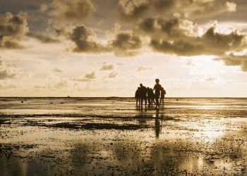 El enfriamiento de La Niña no detendrá el calentamiento global