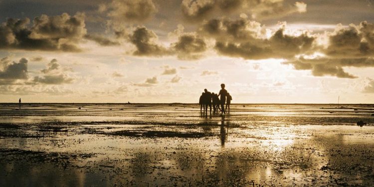 El enfriamiento de La Niña no detendrá el calentamiento global