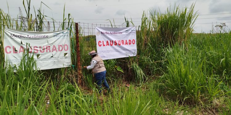 Profepa impone la clausura total definitiva y multa de más de 18 mdp a relleno sanitario “Las Matas” en Veracruz