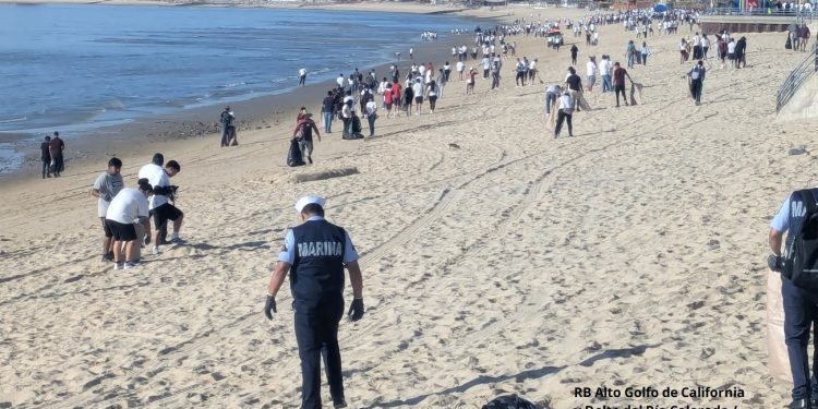 Resultados de la Estrategia Nacional Playas y Costas Limpias en el Noroeste y Alto Golfo de California