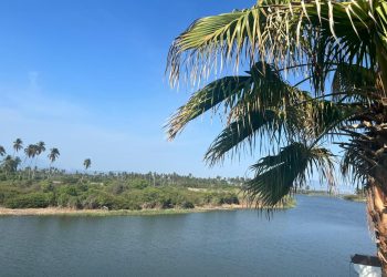 Día Mundial de los Ríos