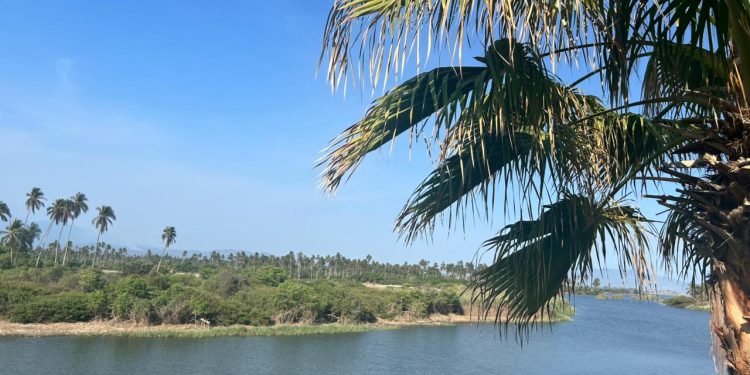 Día Mundial de los Ríos