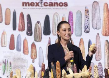 Presidenta Sheinbaum anuncia programa “Sin maíz no hay país” para producir con bienestar