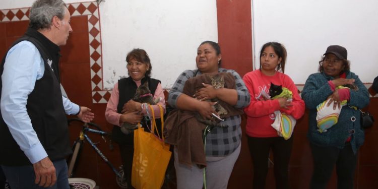 Realiza Gobierno de la Ciudad acciones en favor del bienestar animal en la capital