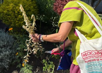 IBERO imparte Taller Basura Cero y Campus Sustentable