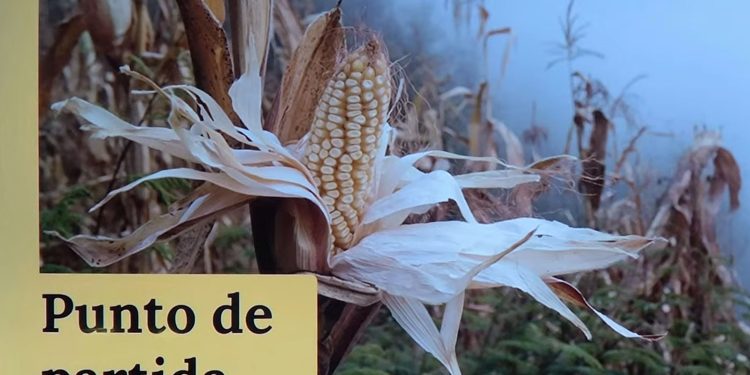 Sistema de cultivo tradicional, amenazado por modelo agroindustrial dominante: UNAM