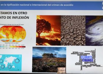 Buscan tipificar ecocidio como crimen internacional